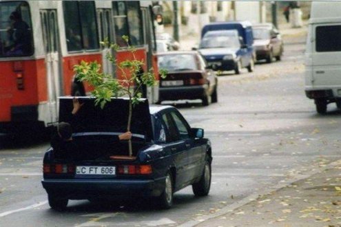 Фото умора!
