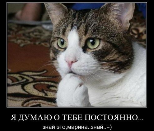 Грустные демотиваторы