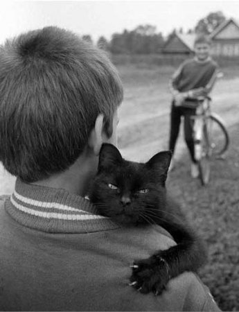 Котофеичи,котейко и котэ
