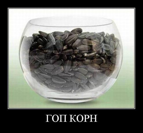 Пошлые демотиваторы