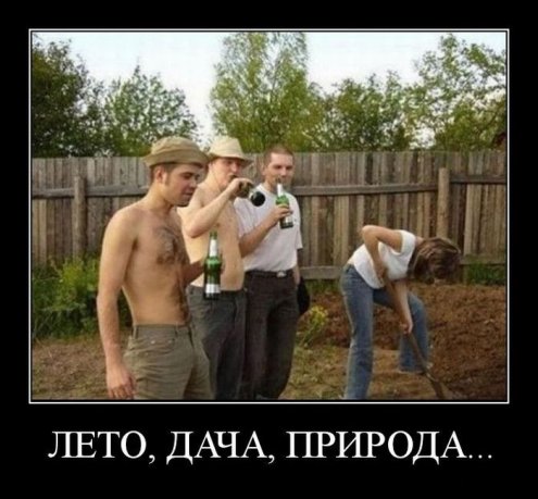 Пошлые демотиваторы