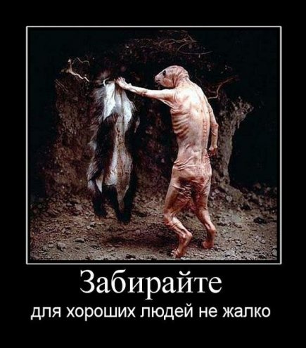 Пошлые демотиваторы