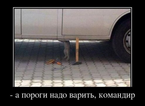 Разные демотиваторы