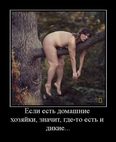 Разные демотиваторы