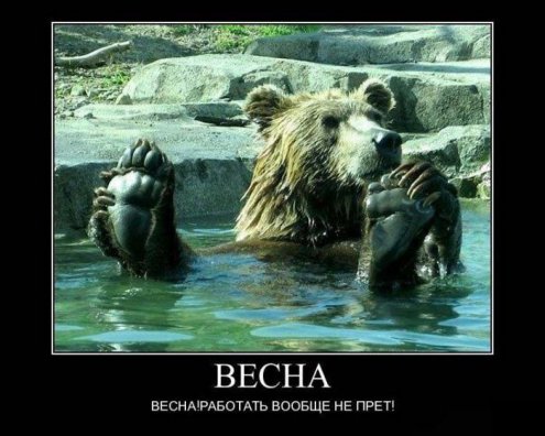 Весенние демотиваторы для позитивного настроения 