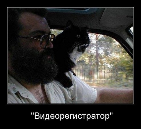 ОТличный демотиваторский юмор