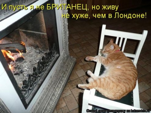 самые ржачно-смешные котоматрицы