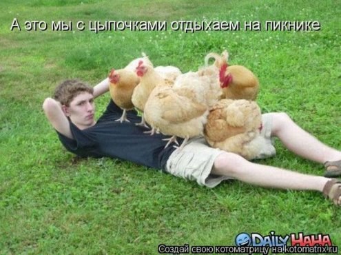 самые ржачно-смешные котоматрицы