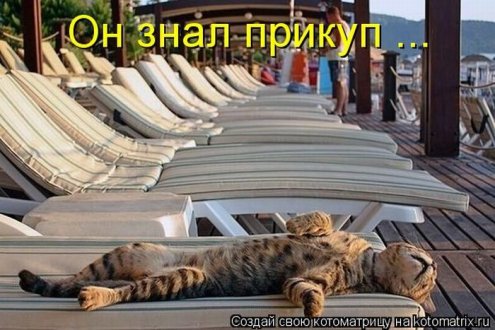 самые ржачно-смешные котоматрицы