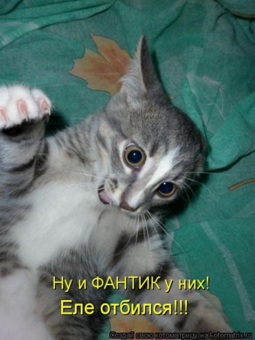 самые ржачно-смешные котоматрицы
