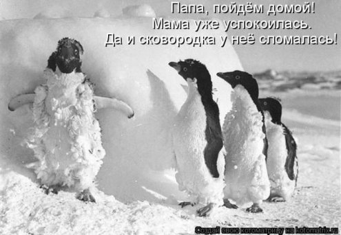 самые ржачно-смешные котоматрицы