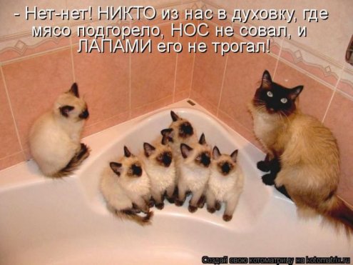 самые ржачно-смешные котоматрицы