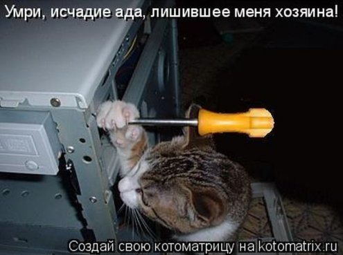 самые ржачно-смешные котоматрицы
