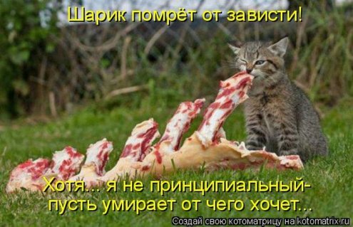 самые ржачно-смешные котоматрицы