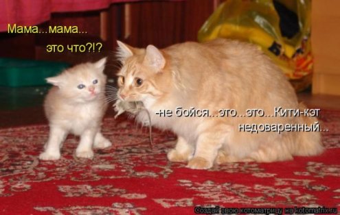самые ржачно-смешные котоматрицы