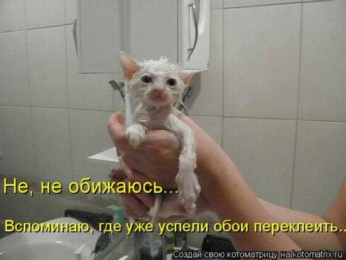 самые ржачно-смешные котоматрицы