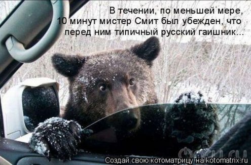 самые ржачно-смешные котоматрицы