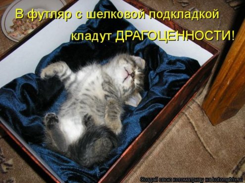 самые ржачно-смешные котоматрицы