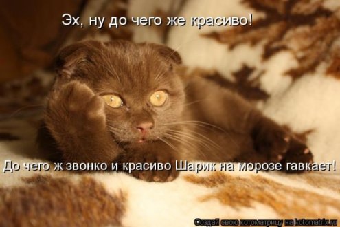 самые ржачно-смешные котоматрицы