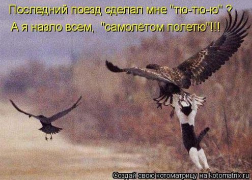 самые ржачно-смешные котоматрицы