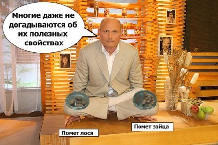 Фотожабные приколы