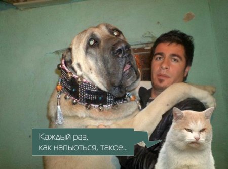Фотожабные приколы
