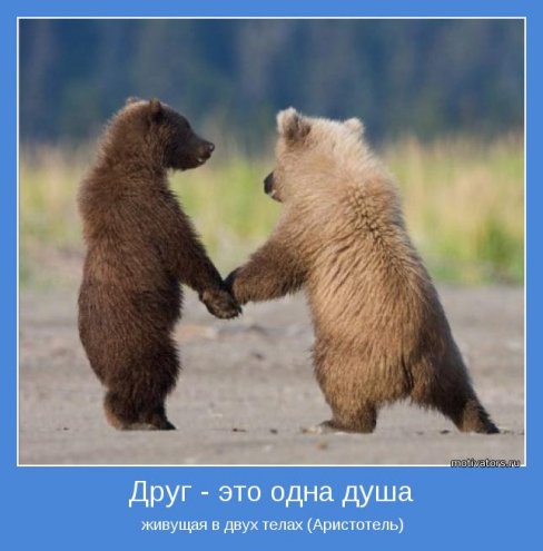 мотиваторы грустные