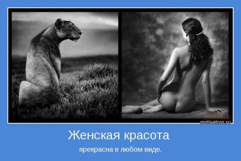 прикольные картинки мотиваторы