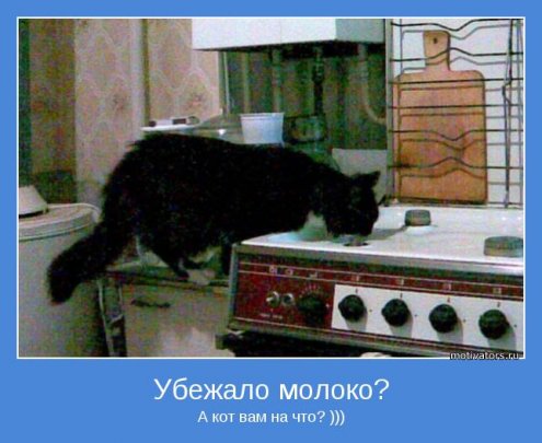 прикольные картинки мотиваторы