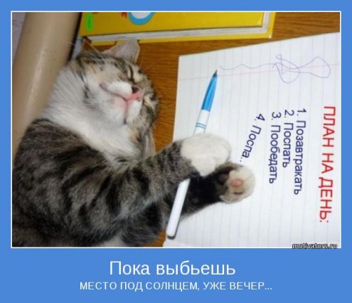 прикольные картинки мотиваторы
