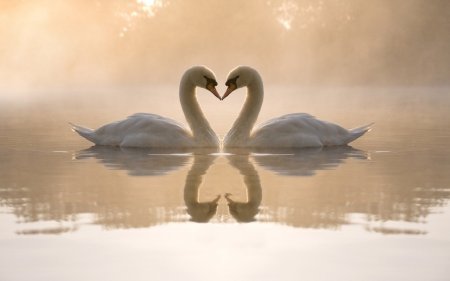 Отражение в воде красивое фото - людей, животных и природы Отражение в воде красивое фото - людей, животных и природы