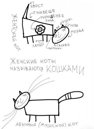 Забавные рисунки про котов