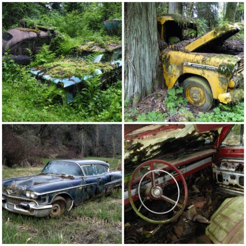 Таинственные снимки заброшенных американских автомобилей в лесу.