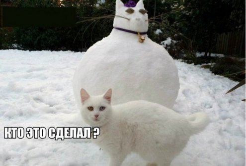 Фото приколы про пьяных с девушками и многие другие
