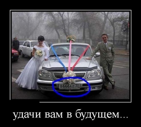 Демотиваторы дня