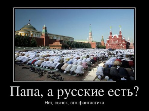 Демотиваторы дня