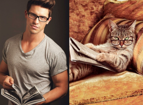Котята и смазливые мачо фото проект "Des Hommes et des Chatons" Котята и смазливые мачо фото проект "Des Hommes et des Chatons"