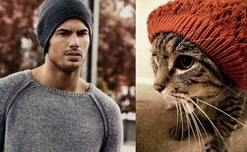 Котята и смазливые мачо фото проект "Des Hommes et des Chatons" Котята и смазливые мачо фото проект "Des Hommes et des Chatons"