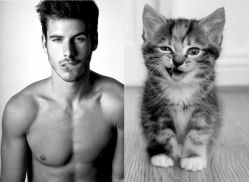 Котята и смазливые мачо фото проект "Des Hommes et des Chatons" Котята и смазливые мачо фото проект "Des Hommes et des Chatons"