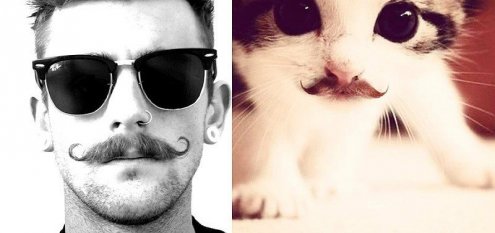 Котята и смазливые мачо фото проект "Des Hommes et des Chatons" Котята и смазливые мачо фото проект "Des Hommes et des Chatons"