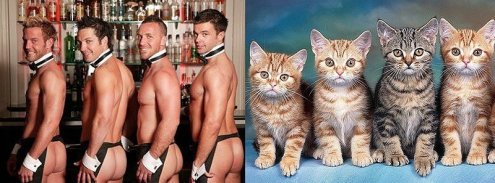 Котята и смазливые мачо фото проект "Des Hommes et des Chatons" Котята и смазливые мачо фото проект "Des Hommes et des Chatons"