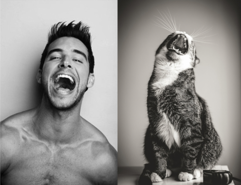 Котята и смазливые мачо фото проект "Des Hommes et des Chatons" Котята и смазливые мачо фото проект "Des Hommes et des Chatons"