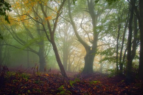 Очень красивая серия работ чешского фотографа Janek Sedlar.