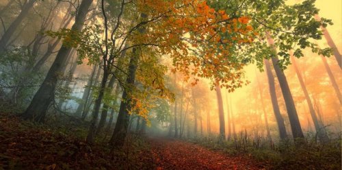 Очень красивая серия работ чешского фотографа Janek Sedlar.