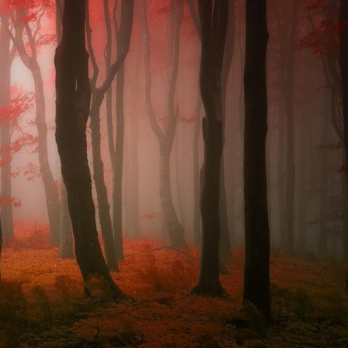 Очень красивая серия работ чешского фотографа Janek Sedlar.