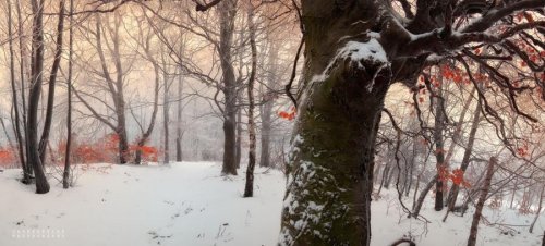 Очень красивая серия работ чешского фотографа Janek Sedlar.
