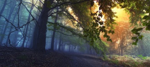 Очень красивая серия работ чешского фотографа Janek Sedlar.