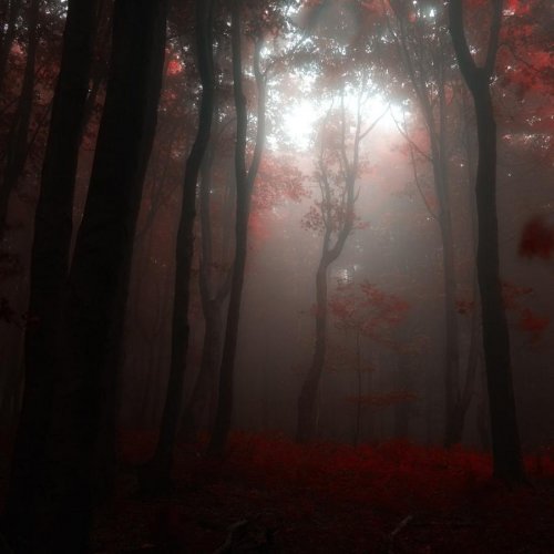 Очень красивая серия работ чешского фотографа Janek Sedlar.