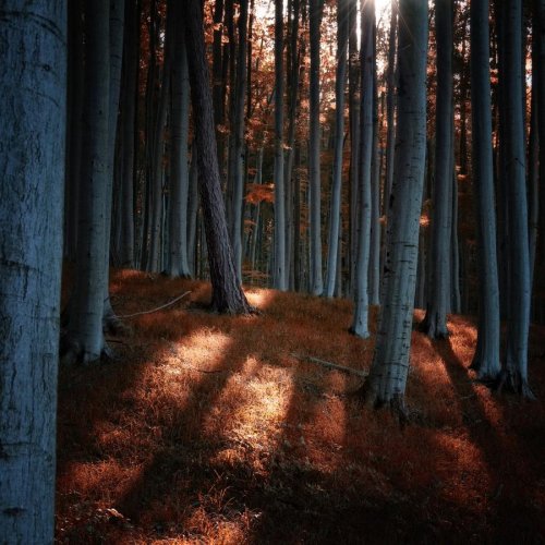Очень красивая серия работ чешского фотографа Janek Sedlar.