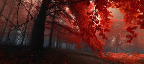 Очень красивая серия работ чешского фотографа Janek Sedlar.